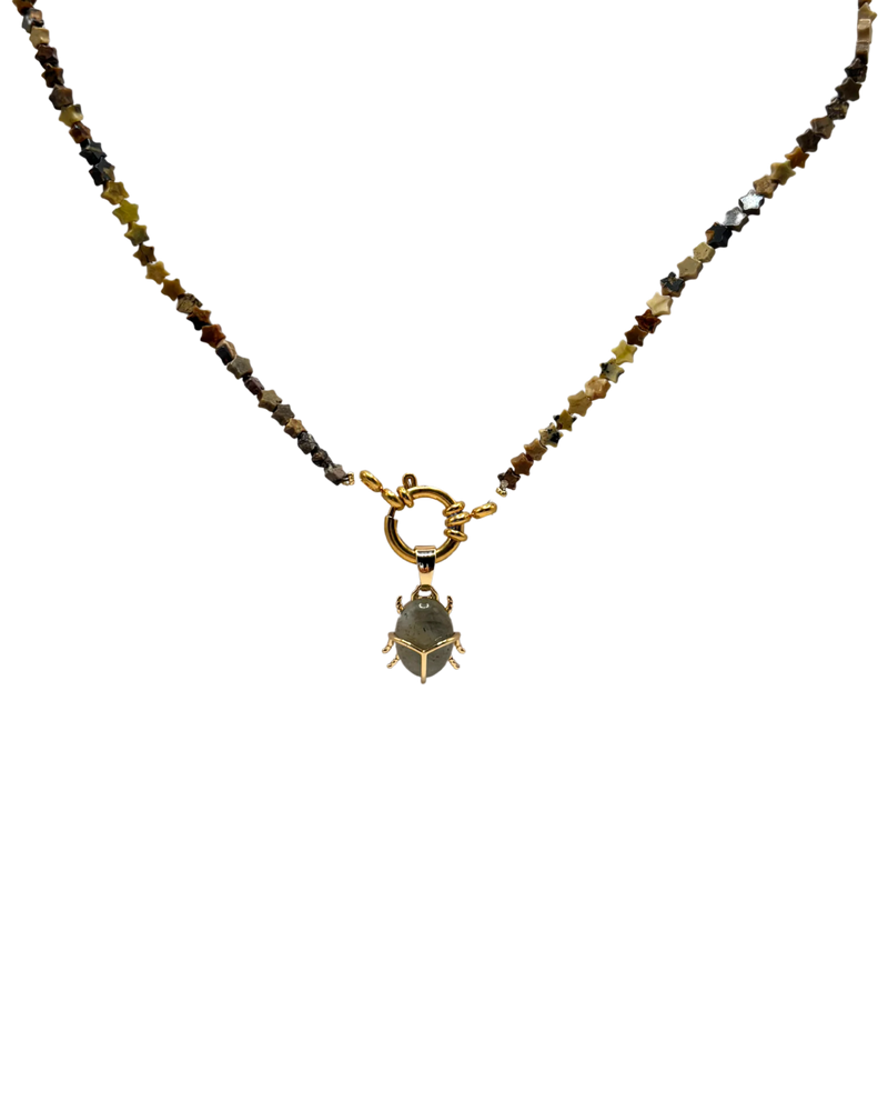 Golden brown star