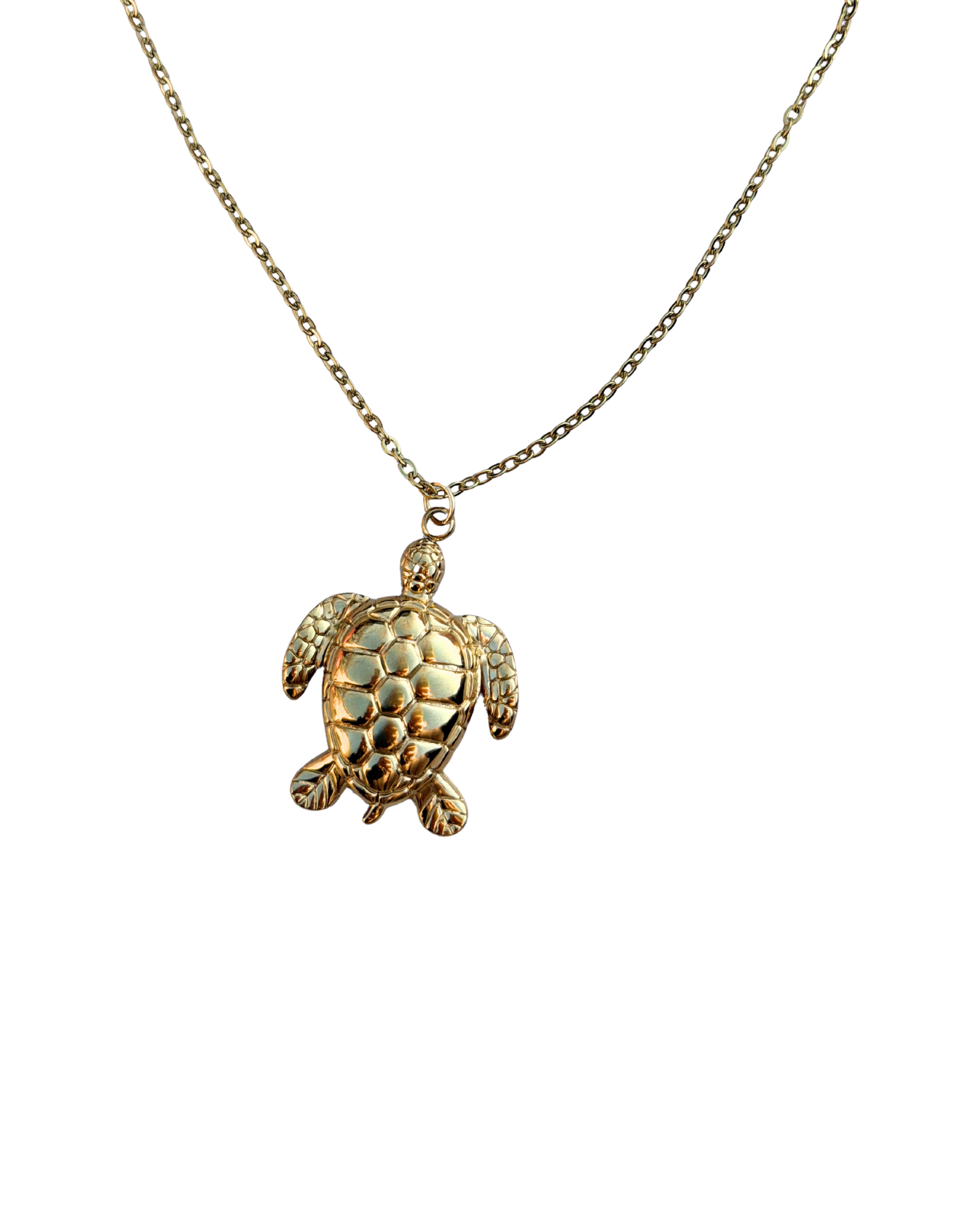 Golden turtle