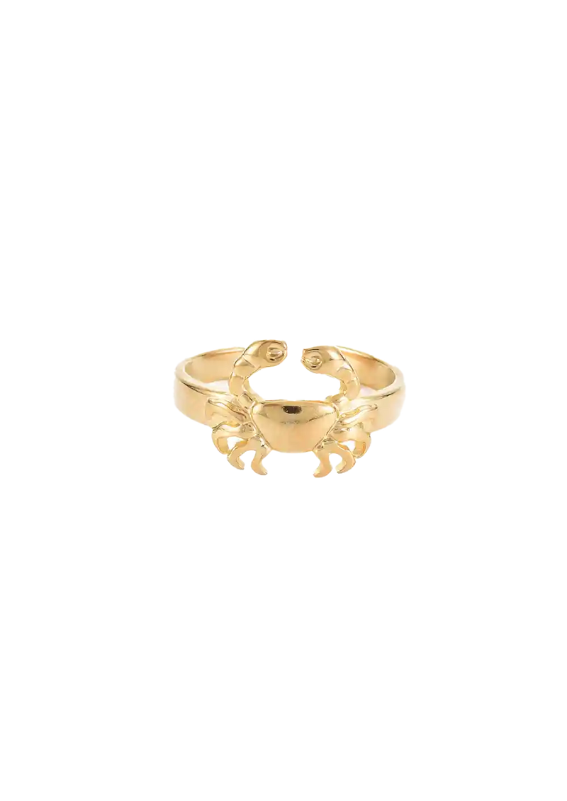 Golden zodiac ring