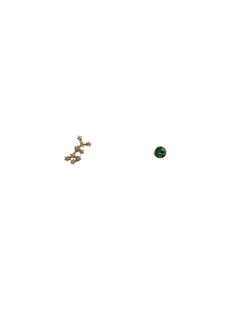 Golden zodiac ear studs