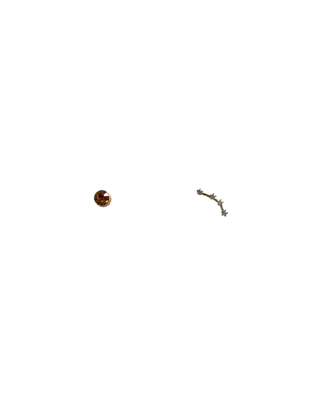 Golden zodiac ear studs