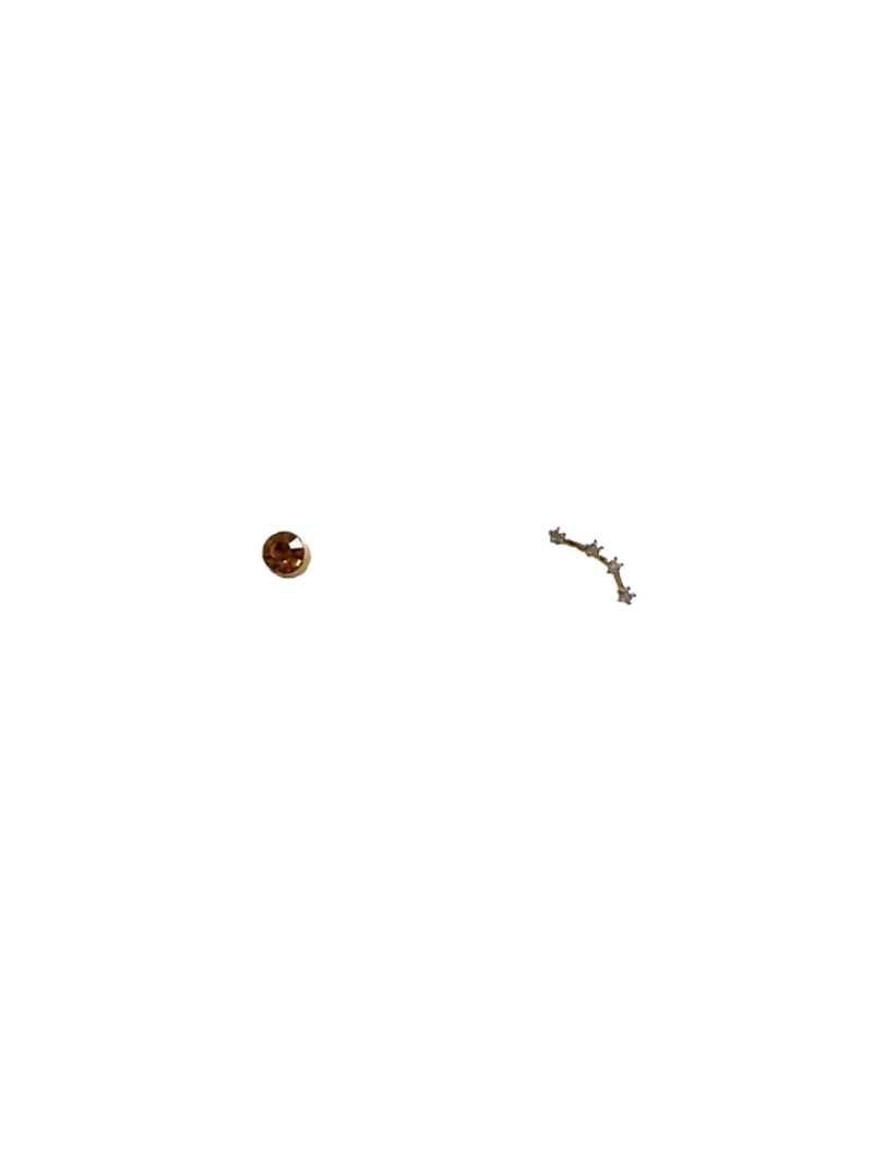 Golden zodiac ear studs