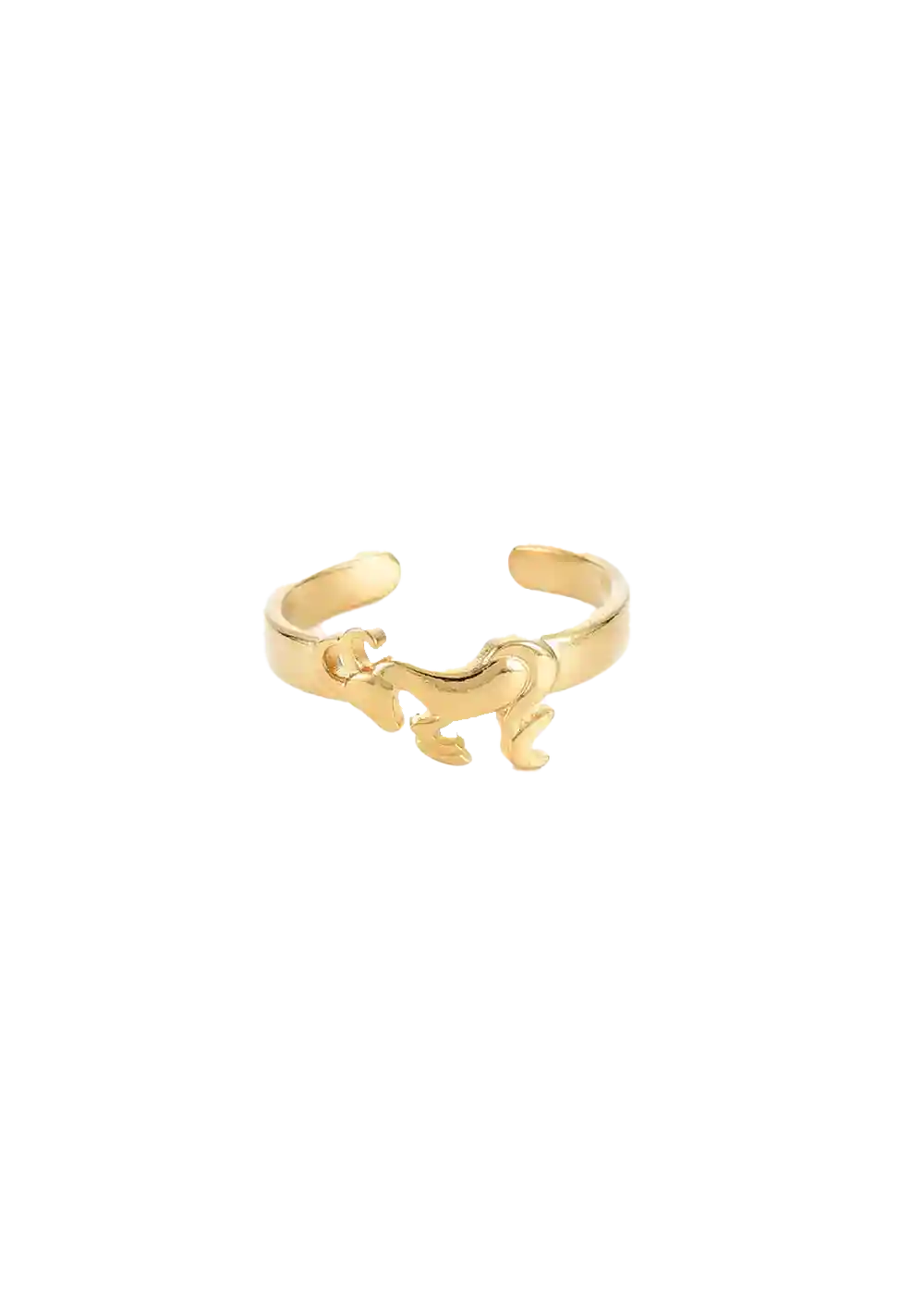 Golden zodiac ring