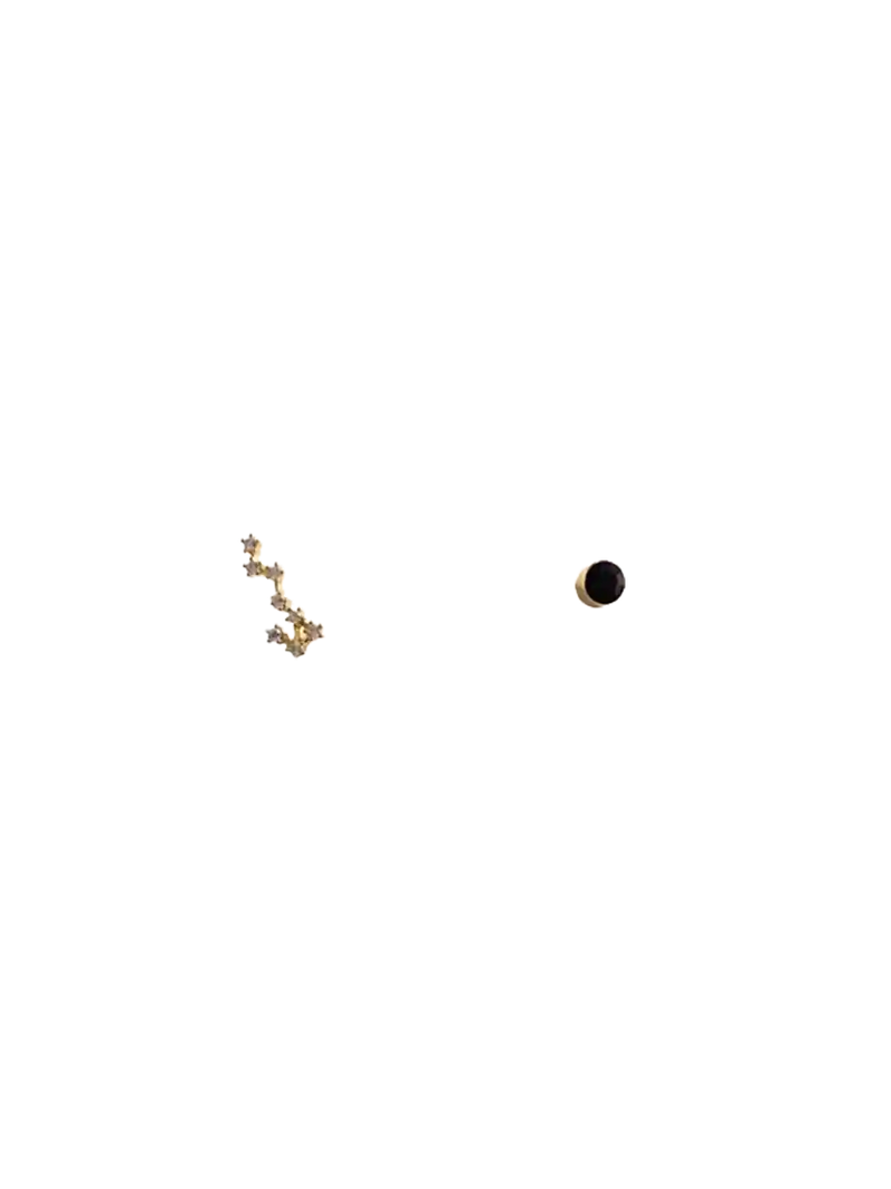 Golden zodiac ear studs