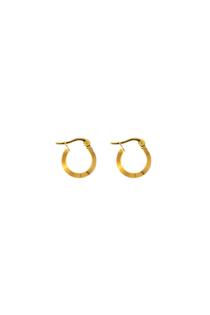 Golden little shiny hoops