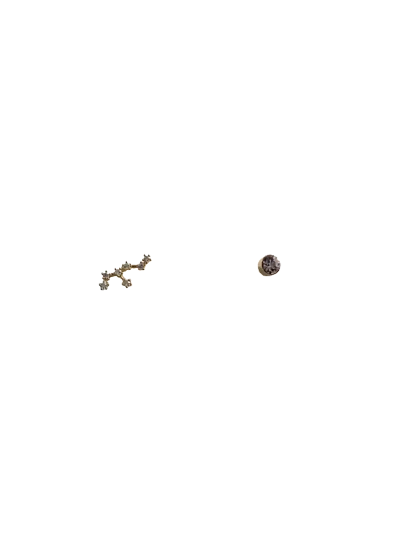 Golden zodiac ear studs