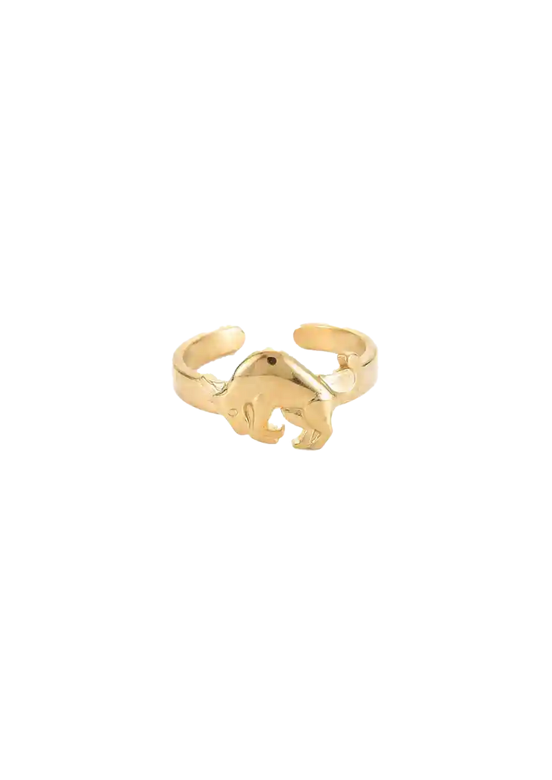 Golden zodiac ring